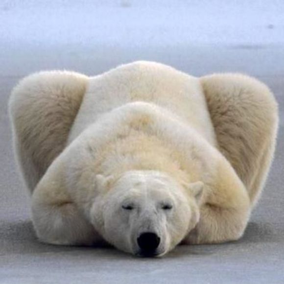 Meet your Posher, Barry - Picture 1 of 1